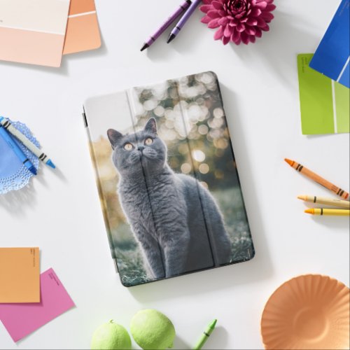 Create Your Own Photo iPad Air Cover