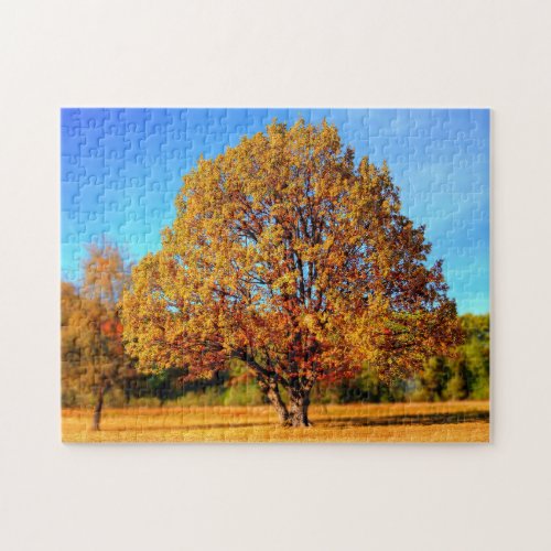 Create Your Own Photo Jigsaw Puzzle