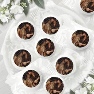 Create Your Own Photo Life Saver® Mints