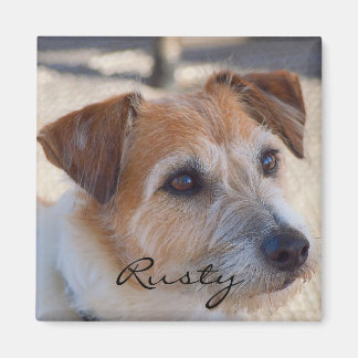 Create your own photo magnet