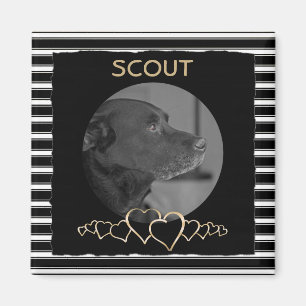 Create Your Own Photo   Personalized Pet Keepsake Magnet
