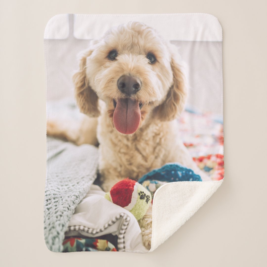 Create Your Own Photo Sherpa Blanket Zazzle