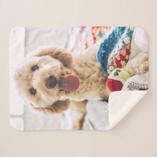 Create Your Own Photo Sherpa Blanket Zazzle
