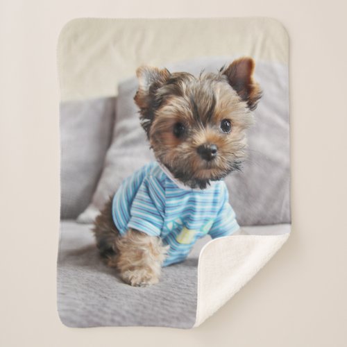 Create Your Own Photo Sherpa Blanket