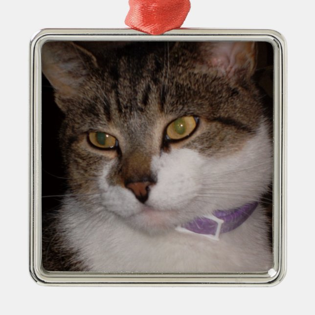Create your own photo Square ornament template (Front)