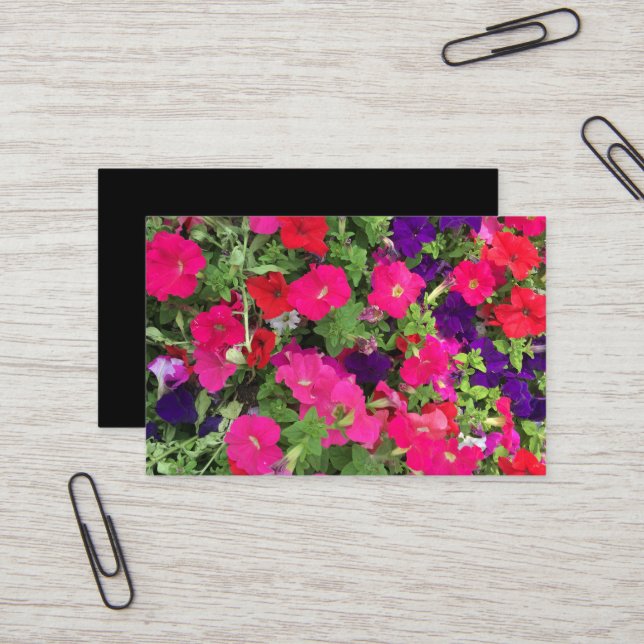 Create Your Own Photography Business Card (Front/Back In Situ)