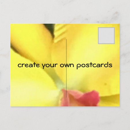 Create Your Own Postcards