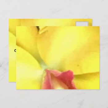Create Your Own Postcards by CREATIVEforBUSINESS at Zazzle