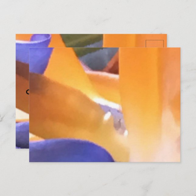 CREATE YOUR OWN POSTCARDS (Front/Back)