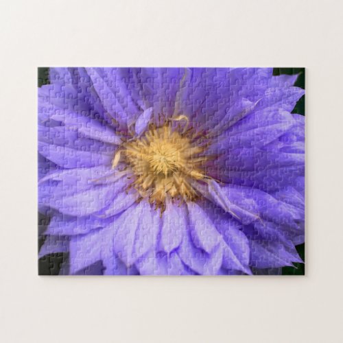 Create Your Own Pretty Dahlia Flower Jigsaw Puzzle
