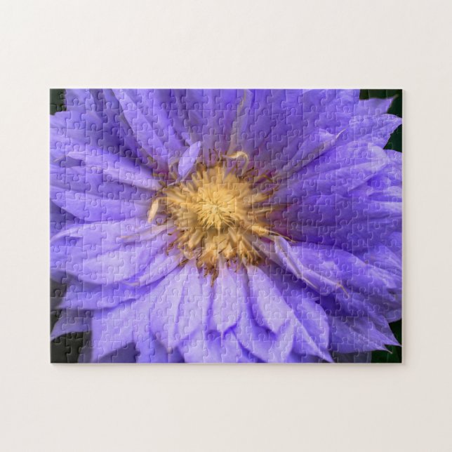 Create Your Own Pretty Dahlia Flower Jigsaw Puzzle (Horizontal)