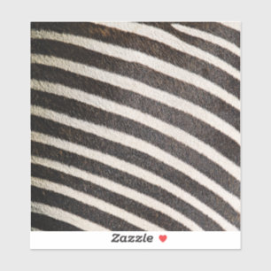 Create Your Own professional Sticker