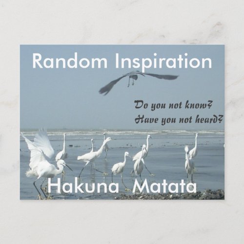 Create Your Own Random Inspiration Customize Postcard