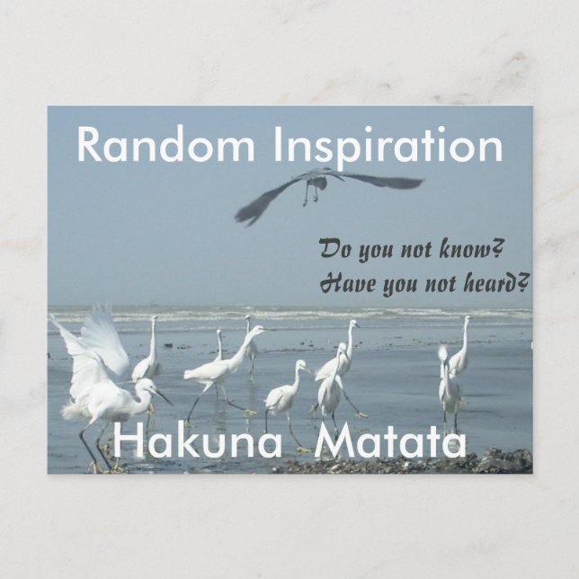 Create Your Own Random Inspiration Customize Postcard (Front)