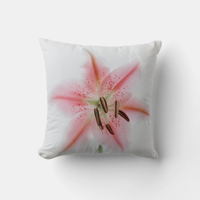 Create Your Own Simple Custom 16" x 16" Throw Pillow (Front)