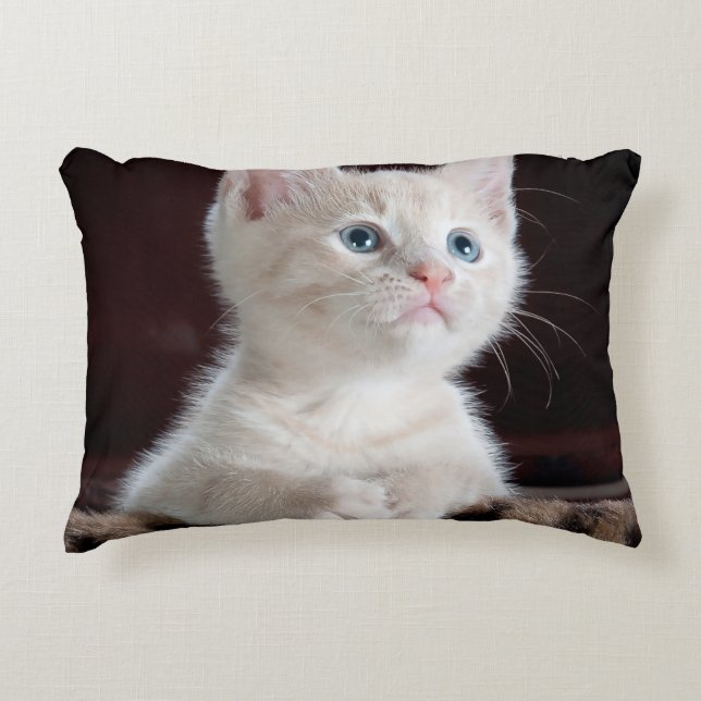 Create Your Own Simple Custom  Accent Pillow (Front)
