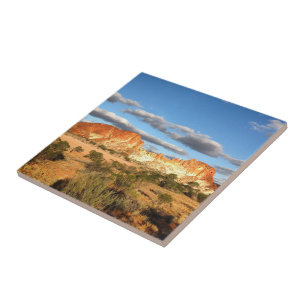 Create your own square tile - Australian outback