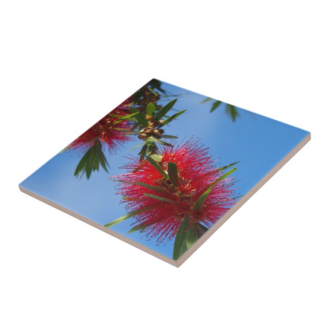 Create your own square tile - bottlebrush (Side)