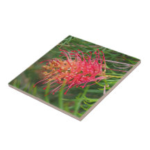 Create your own square tile -  Grevillea