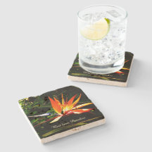 Create Your Own Stone Coaster - Bird of Paradise