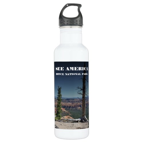 Create your own travel USA Europe photo Stainless Steel Water Bottle