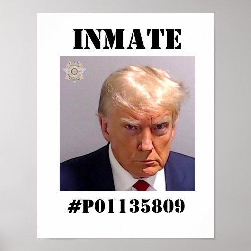 Create Your Own Trump Mugshot Poster