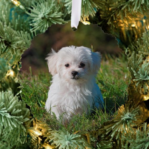 Create Your Own Two_sided Dog Photos Ornament Card