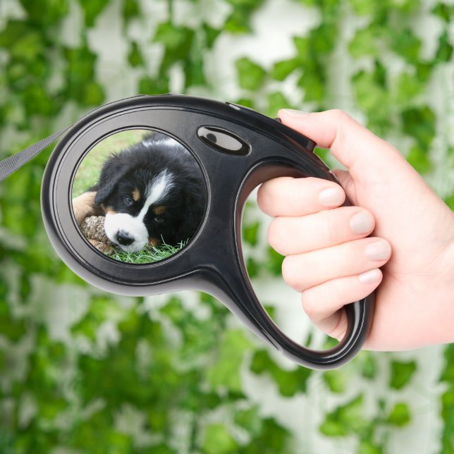 Create your own unique dog photos retractable pet leash  (Hand)