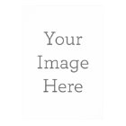 Create Your Own Value Poster Paper Print