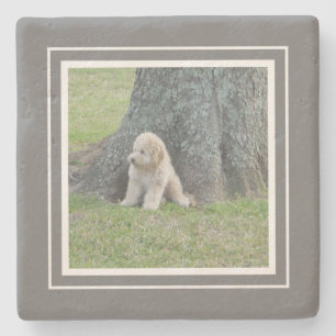 Create Your Own Your Photo Farmhouse Gray & White Stone Coaster