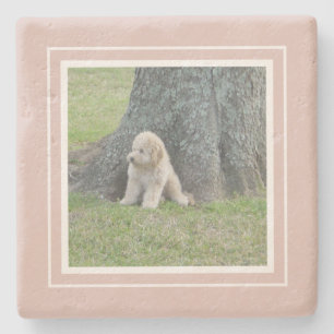 Create Your Own Your Photo Farmhouse Pink & White Stone Coaster