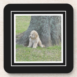 Create Your Own Your Photo Template Black & White Beverage Coaster