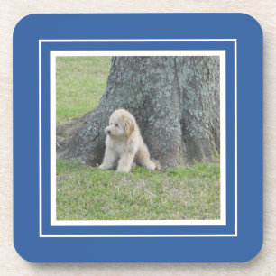 Create Your Own Your Photo Template Blue & White Beverage Coaster