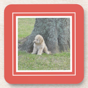 Create Your Own Your Photo Template Coral & White Beverage Coaster