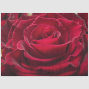 Created for you elegant photo greeting personalize tissue paper