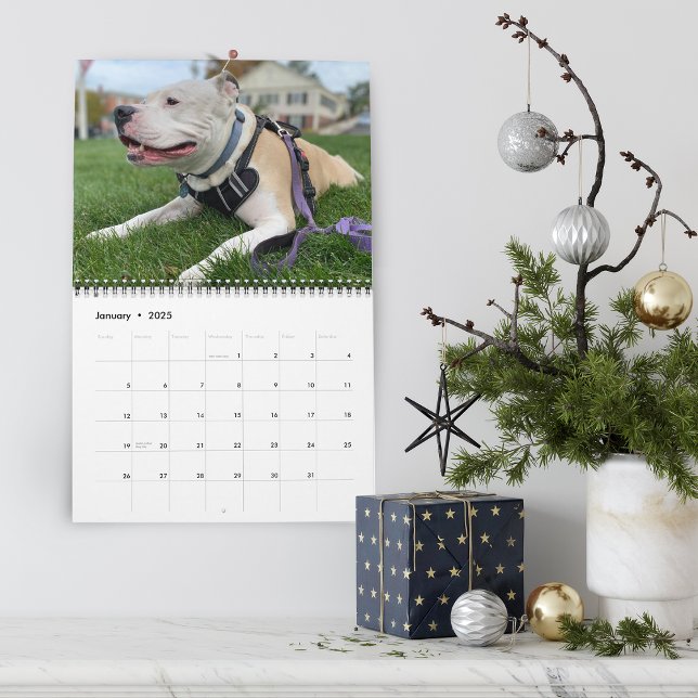 Creating Dog Memories Personalized Calendar (Hello Pet Puppy Custom Calendar)