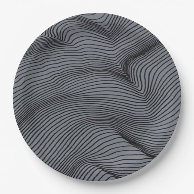                   Creation of Motion  Paper Plates (Front)