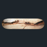 Creation Of Radam Skateboard<br><div class="desc">Leonardo's skateboard</div>