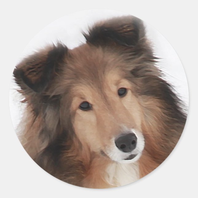 Creation of Shelties Classic Round Sticker (Front)