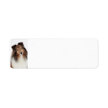 Creation Of Shelties Label by SimplyShelties at Zazzle
