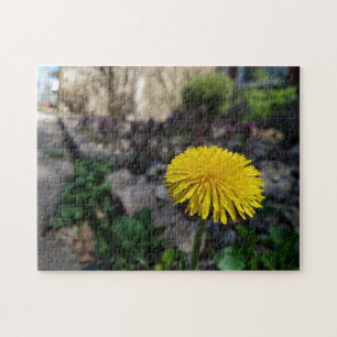 Creative dandelion flower photo jigsaw puzzle