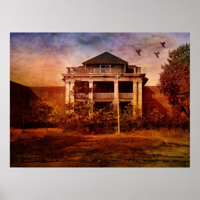 Creative Madness-Asylum Poster (Front)