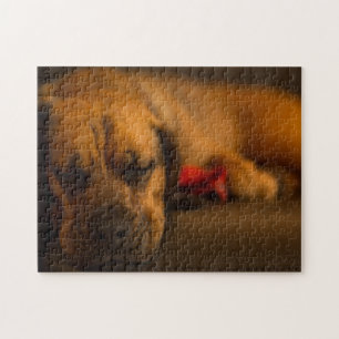 Creative pattern jigsaw puzzle