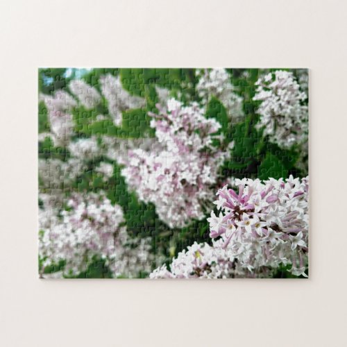 Creative wild flower walk photo jigsaw puzzle