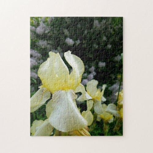 Creative wild flower walk photo jigsaw puzzle