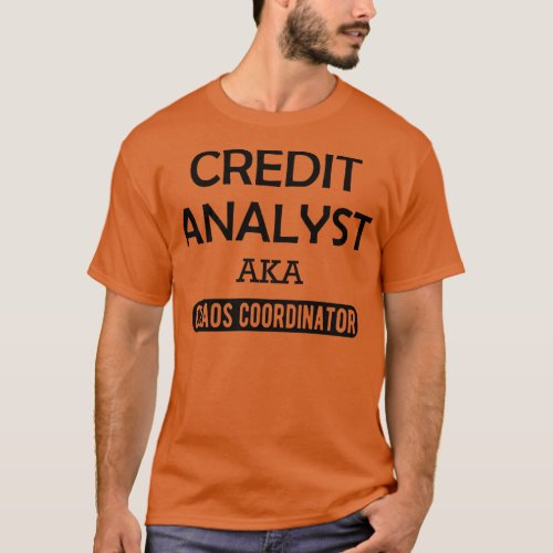 Credit Analyst aka chaos coordinator 1 T_Shirt