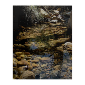 Creek  acrylic print