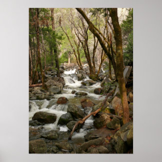 Creek At Bridal Veil Falls, Yosemite Poster