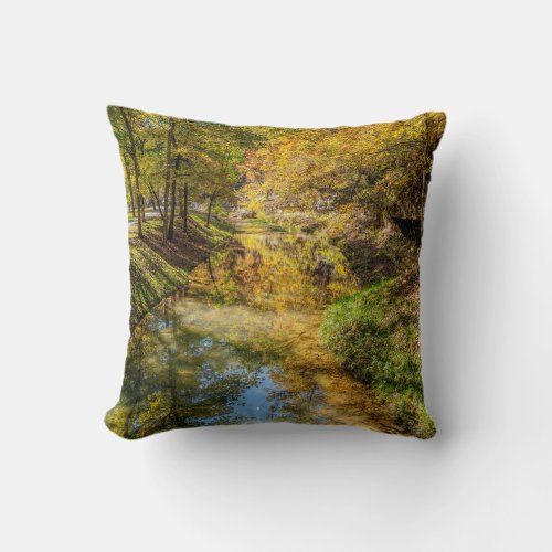 Creek Autumn Reflections Vertical Throw Pillow
