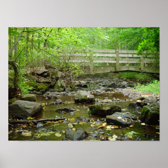 Creek Bridge Forest Poster (Front)